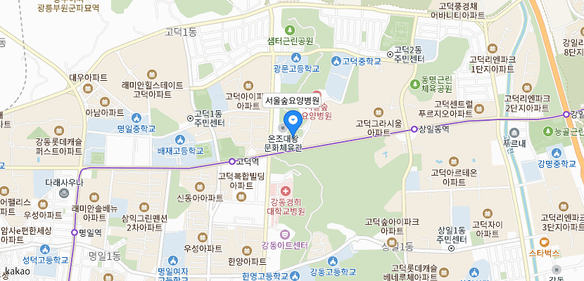 서울숲요양병원 위치