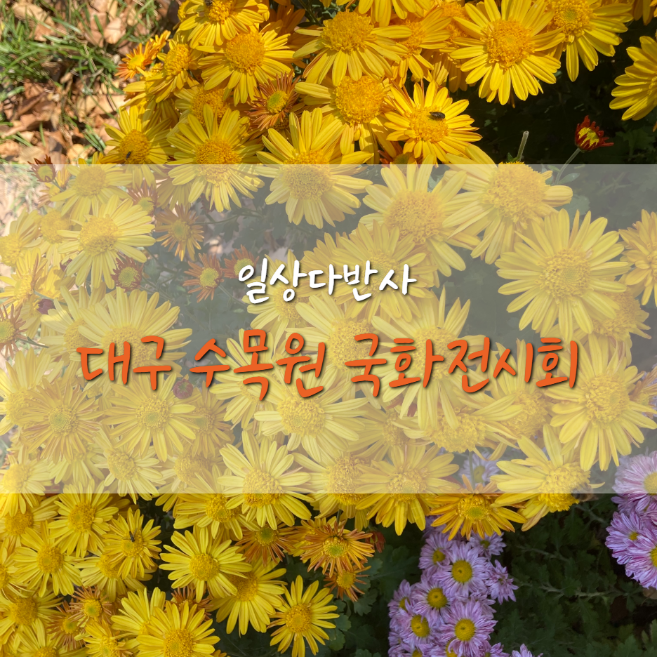  2020 올해 대구 수목원 국화 전시회는 열릴까?