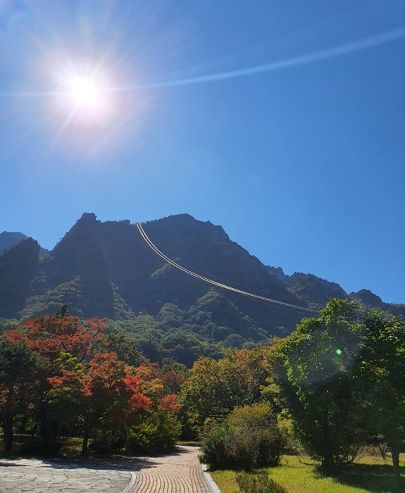  설악산 국립공원 신흥사 가을 단풍 여행