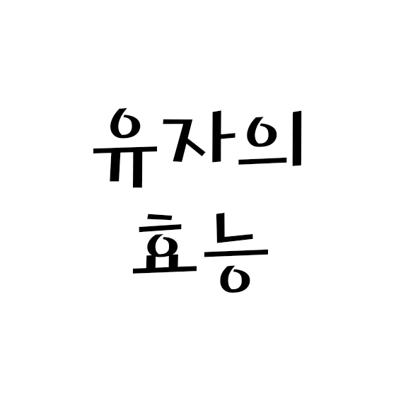  유자의 효능