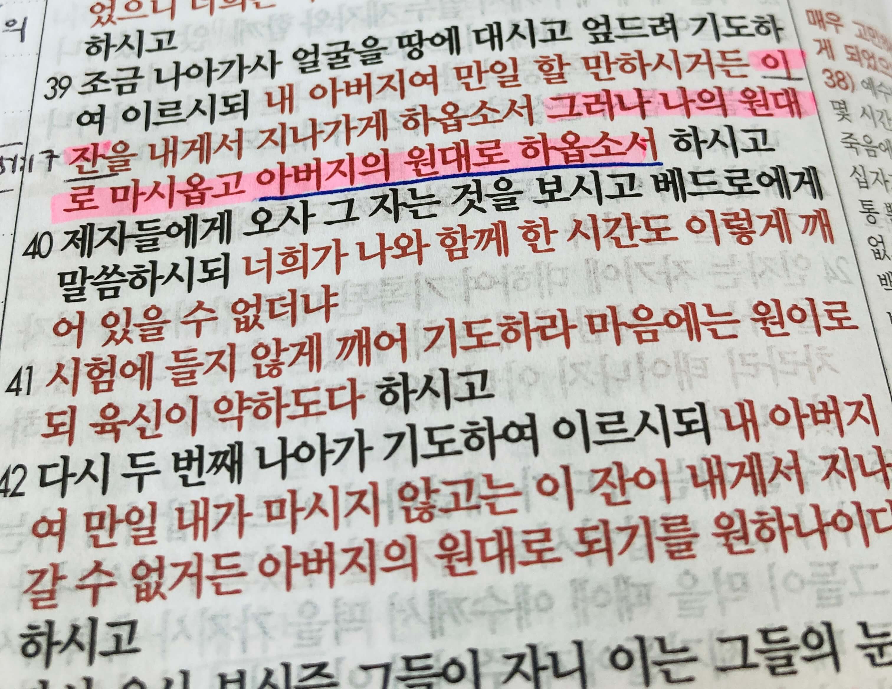 나의 원대로 마시옵고 아버지의 원대로 하옵소서