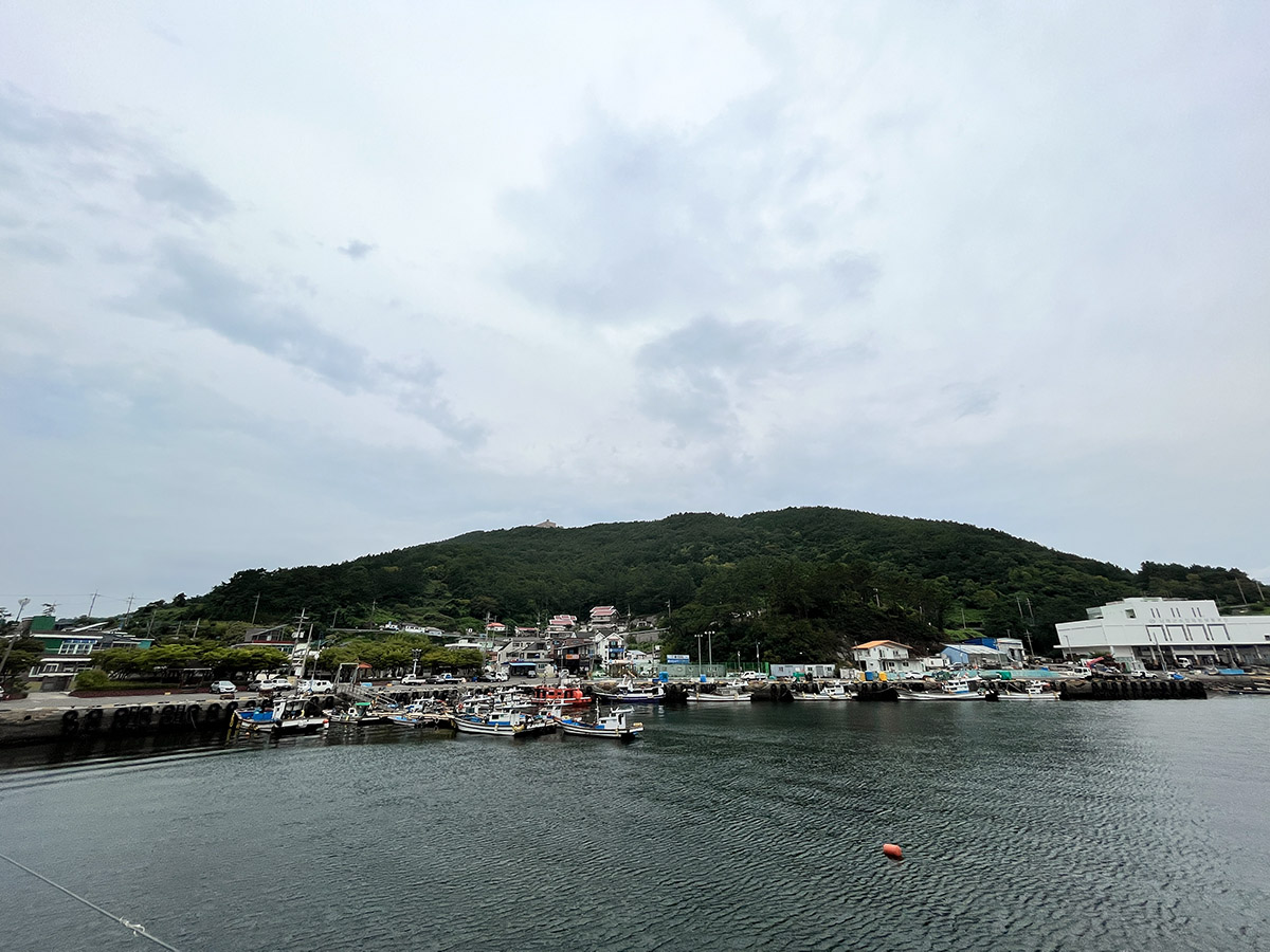 해상산책로에서 항구방향 전망.