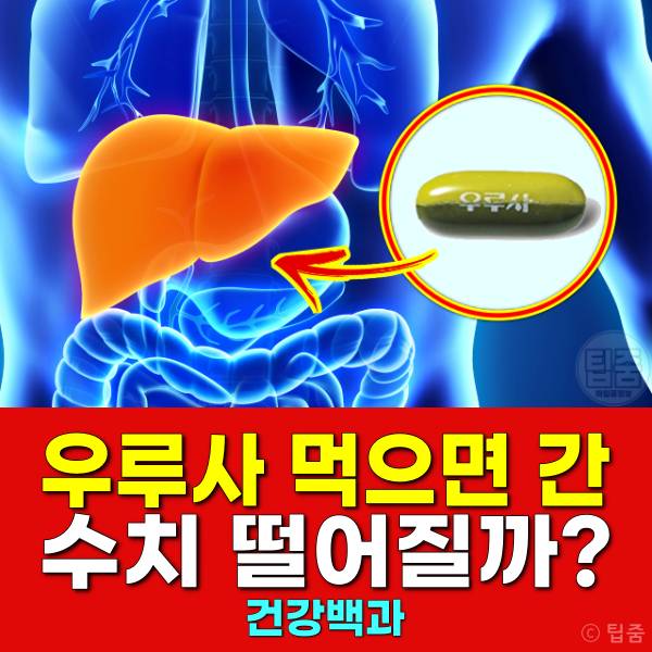 우루사 먹으면 간수치 떨어지나요 우루사 효과 없음