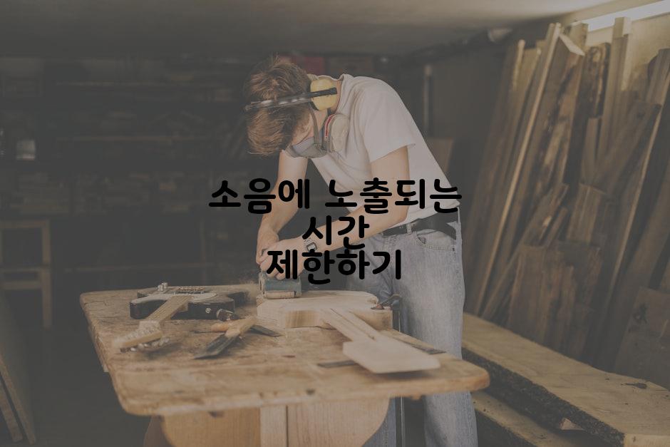 소음에 노출되는 시간 제한하기