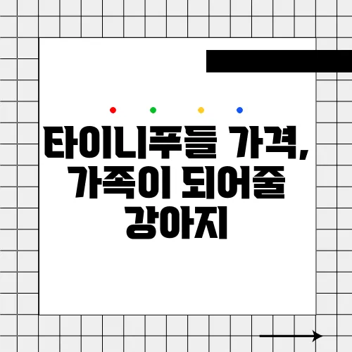 타이니푸들 가격, 가족이 되어줄 강아지