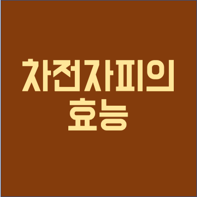  차전자피의 효능