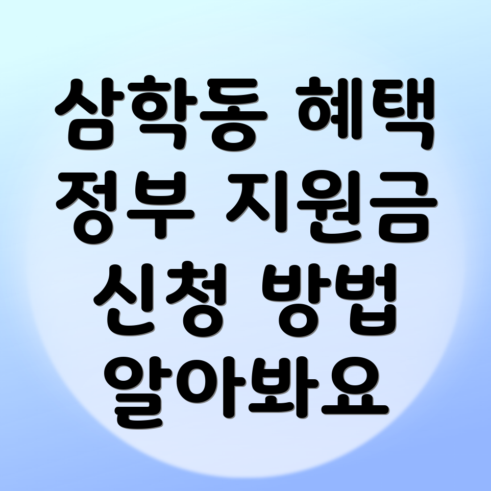 정부지원금