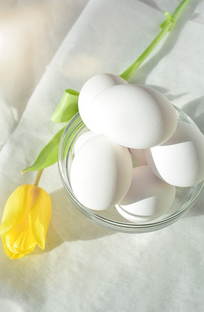 면역력 강화에 좋은 계란