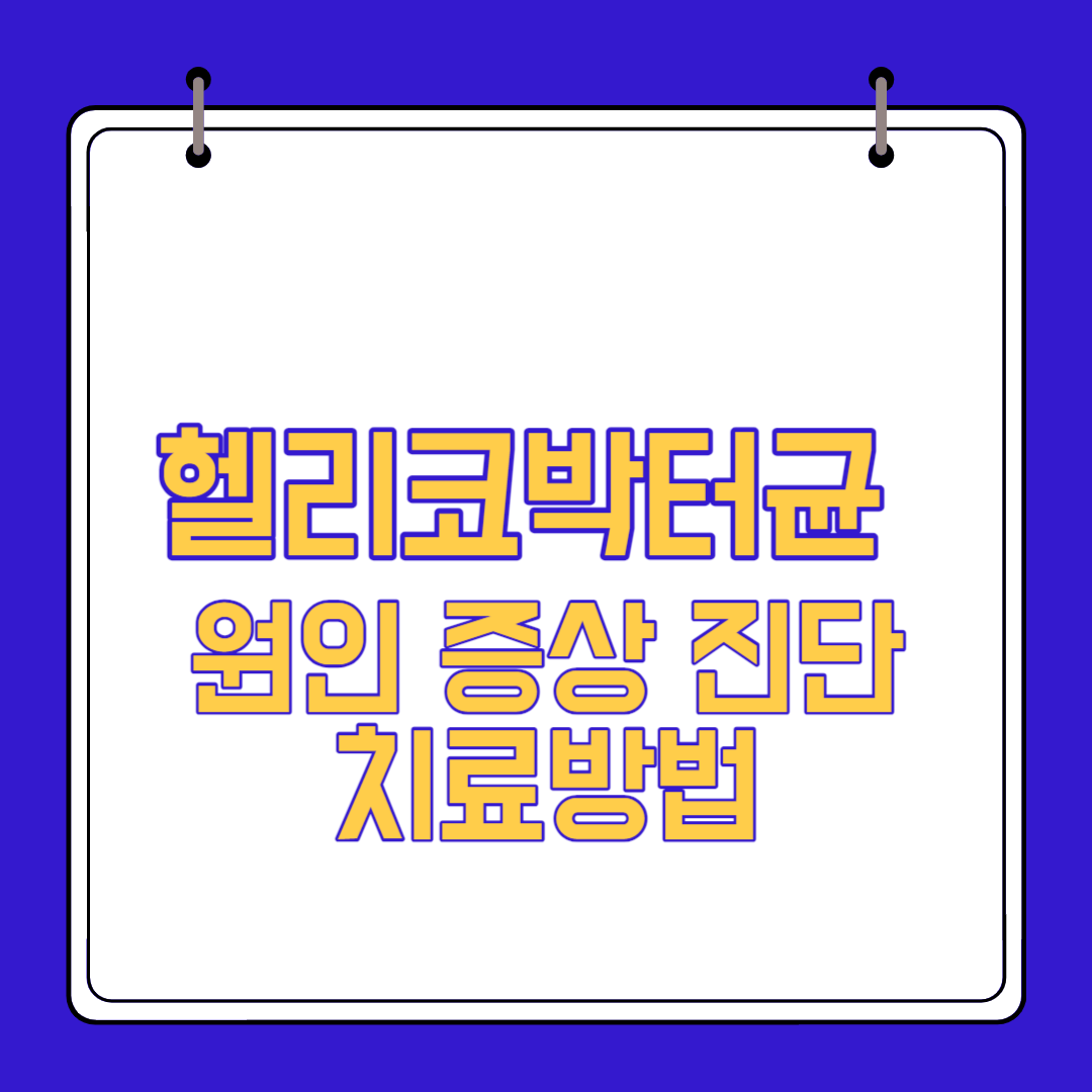  헬리코박터균 원인 증상 치료방법