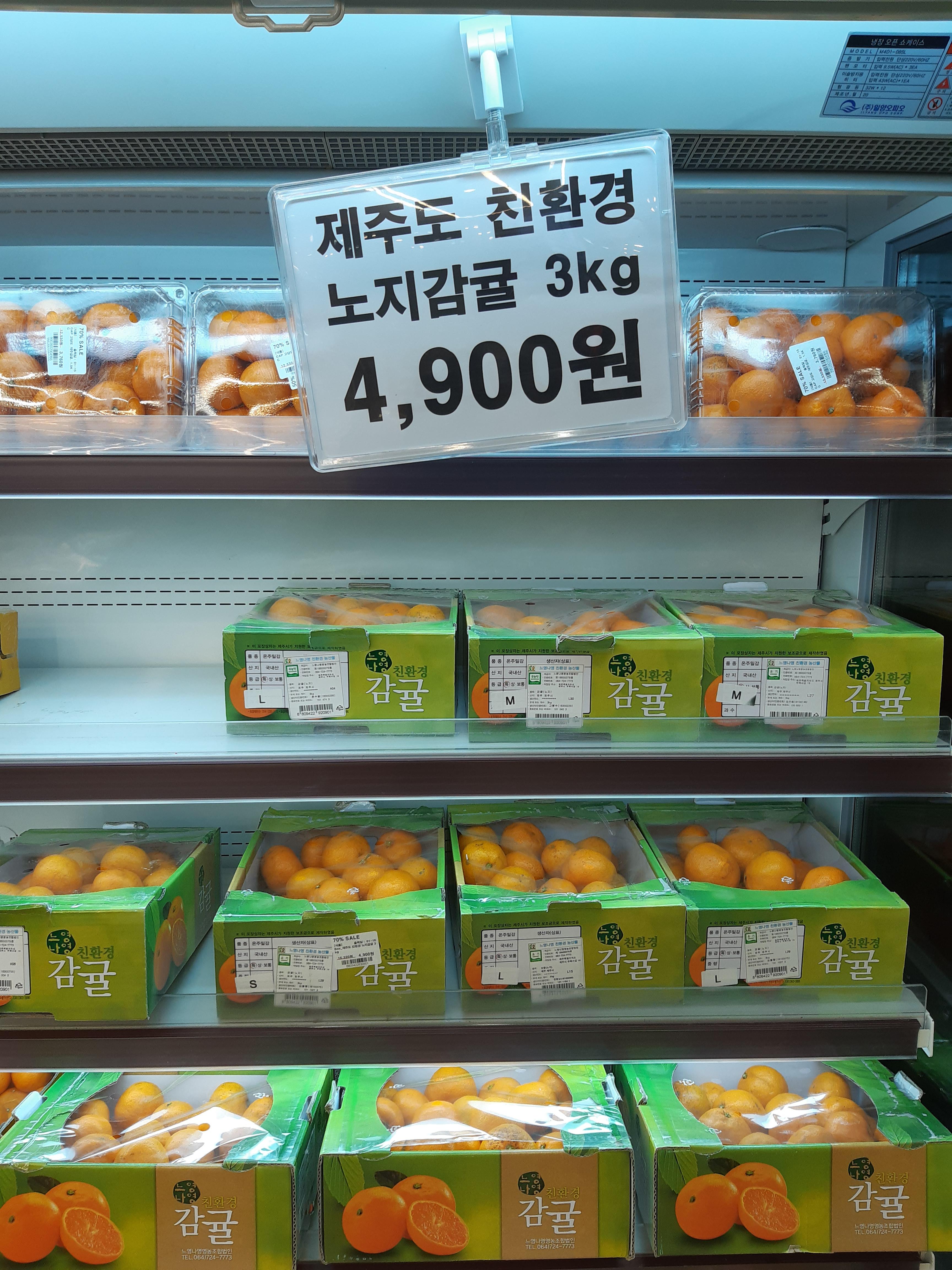 미룡 이미지