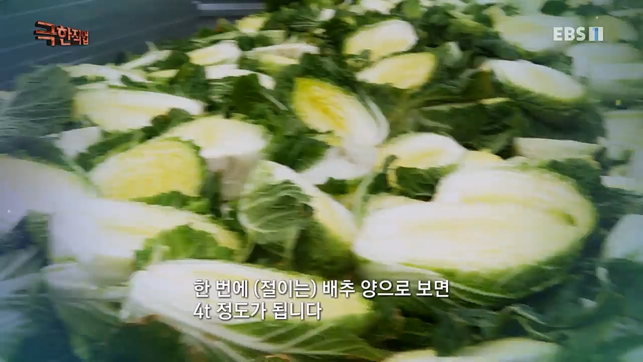 TV - 교육의 중심 EBS세계인의 입맛을 사로잡은 K-푸드.mp4_20230211_183458.415.jpg