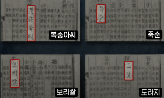 복숭아씨, 죽순, 보리쌀, 도라지