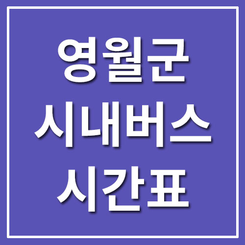  영월 시내버스 시간표 및 요금표(마을버스 포함)