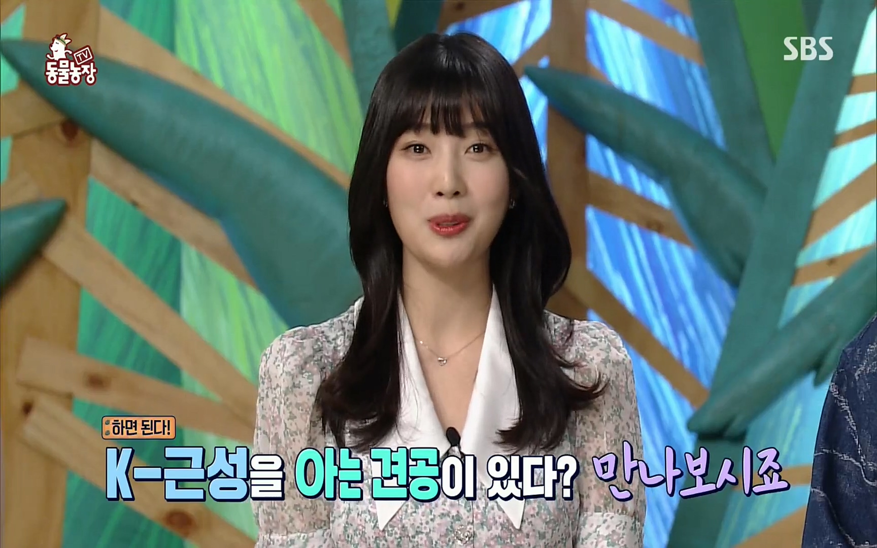 TV 동물농장.E1074.220619p.H264-F1RST.mp4_20220619_175812.132.jpg