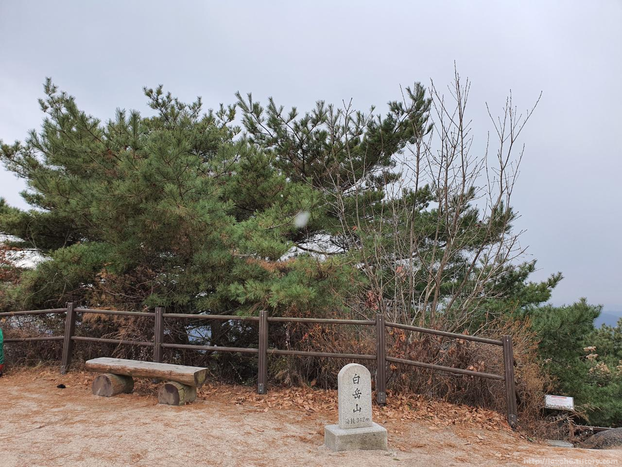 북악산_北岳山_Bukaksan/열심히 열심히 걸어서 드디어

북악산 정상에 도착했습니다

실은 북악산 정상에 도착했을때

정상이 맞나 싶었답니다

ㅎㅎ

보시는것처럼 앞이 시원하게

뻥~ 뚫려있진 않거든요 

비석에는 북악산이라고

적혀있지 않고 백악산이라고 적혀있습니다

백악산이라고 적혀있는건 아마도 

예전에 백악산(白岳山)이라고도 불렀는데

백악산신(白岳山神)을 모시는 사당이

있었기 때문에 부르게된 이름이다.

이후 도성(都城)인 한양을 둘러싸고 있는

산들 중에 북쪽에 위치하기 때문에

북악산(北岳山)이라고 불렀다

-출처-네이버 지식백과-두산백과

더 자세한 내용은 아래 링크 참고하세요