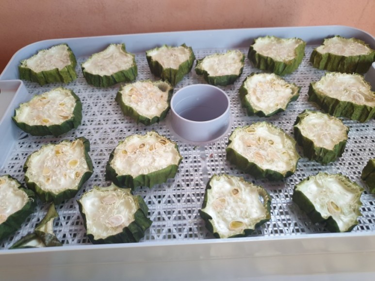 수세미 차코로나시대에 관심받고있는 9