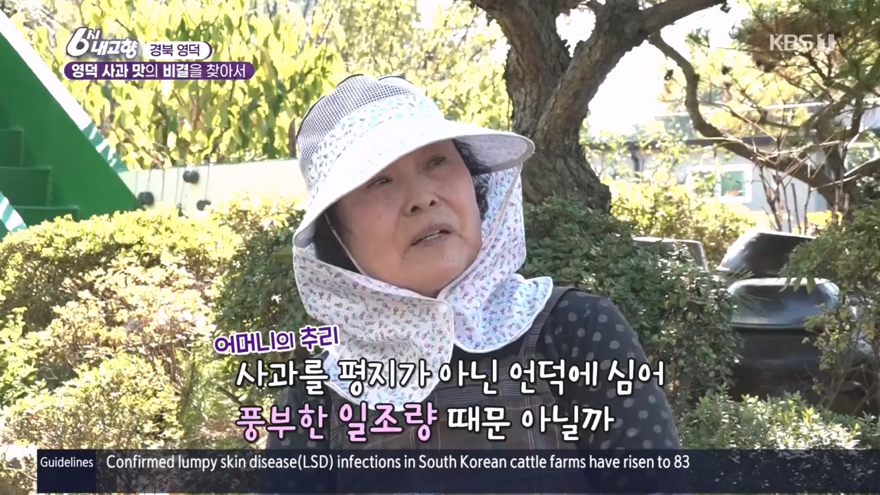 6시 내고향.E7907.231108p.H264-F1RST.mp4_20231108_204720.002.jpg