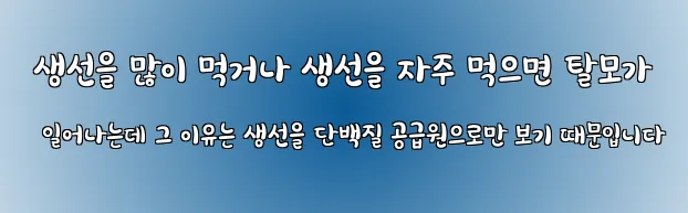  생선을 많이 먹거나 생선을 자주 먹으면 탈모가 일어나는데 그 이유는 생선을 단백질 공급원으로만 보기 때문입니다