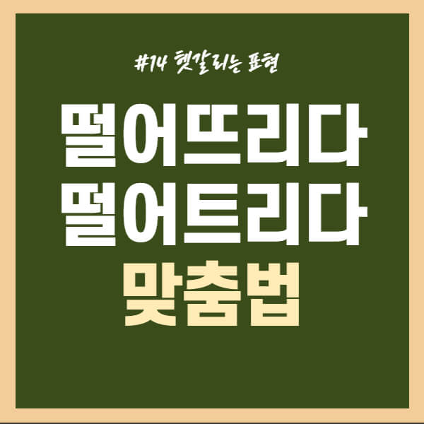 떨어뜨리다-떨어트리다-맞춤법-확인