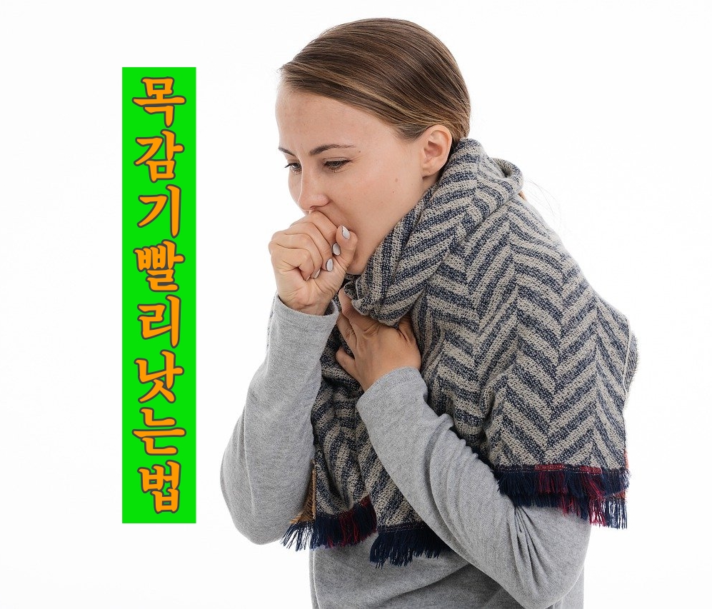  목감기 증상과 치료법