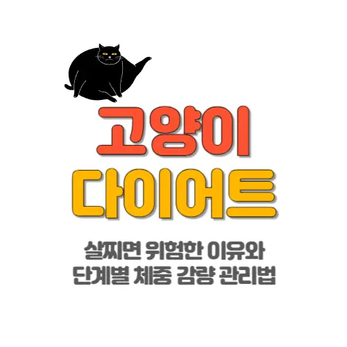 고양이 다이어트