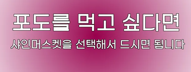  포도를 먹고 싶다면 샤인머스켓을 선택해서 드시면 됩니다