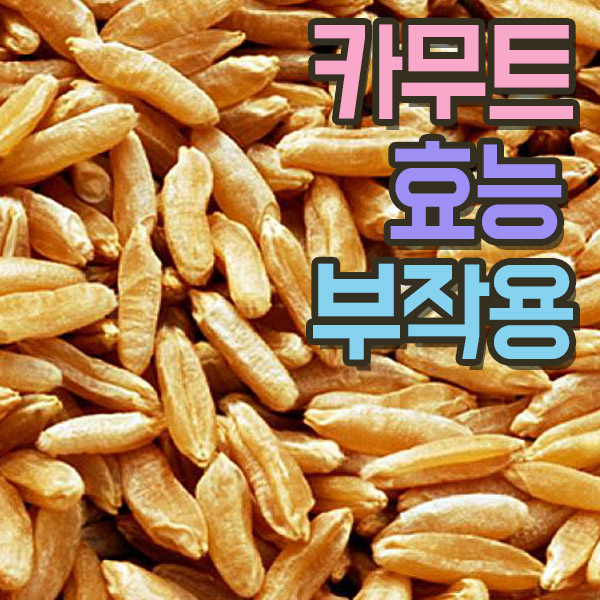 카무트 효능 부작용