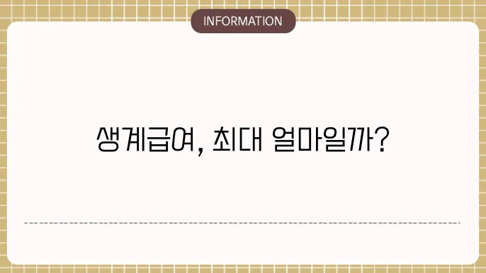 기초생활수급자 생계급여의 정부의 역할을 확인할 수 있어