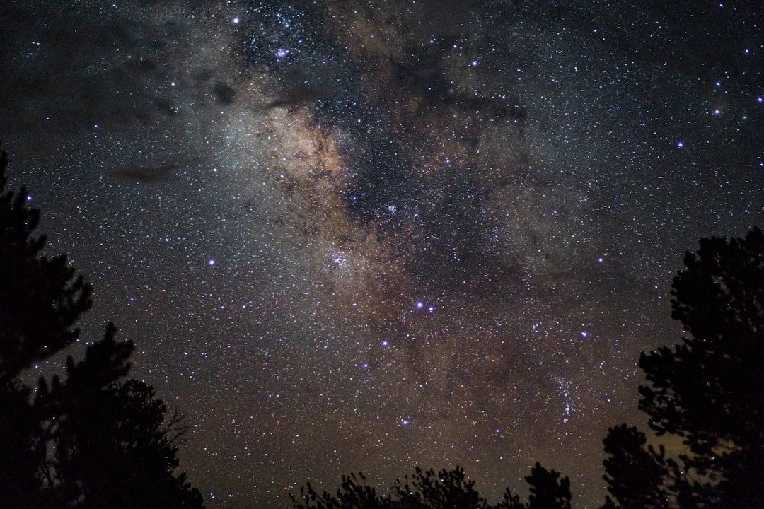 Cosmic