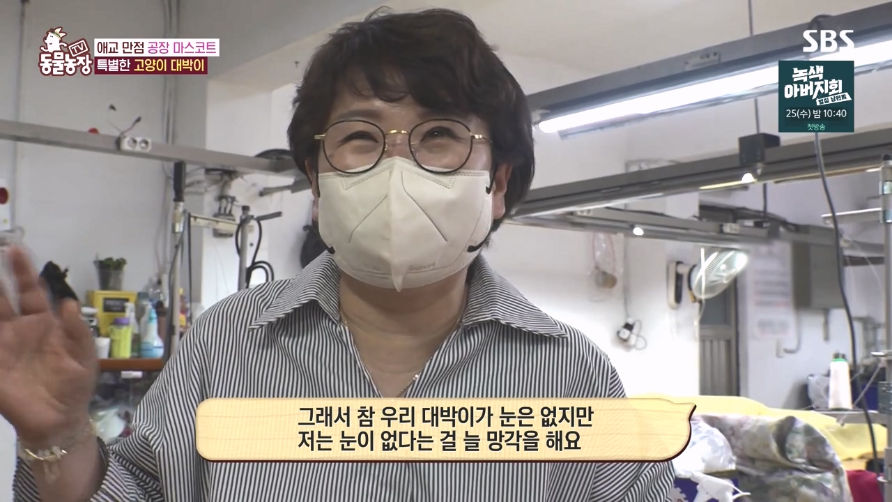TV 동물농장.E1141.231016p-NEXT.mp4_20231015_173936.884.jpg