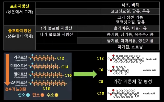 중산사슬 지방산 설명