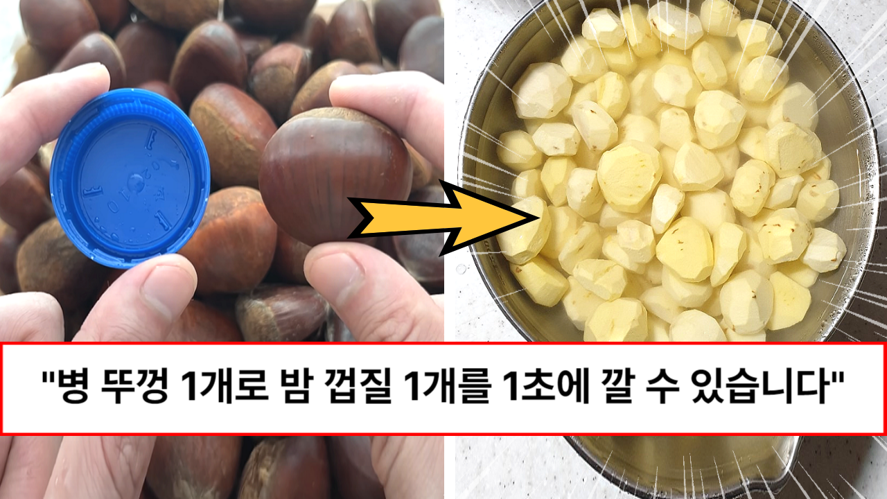 “껍질이 술술 벗겨집니다” 귤껍질처럼 벗겨지는 평생 써먹는 초간단 밤껍질 벗기는 방법 3가지 “껍질이 술술 벗겨집니다” 귤껍질처럼 벗겨지는 평생 써먹는 초간단 밤껍질 벗기는 방법 3가지