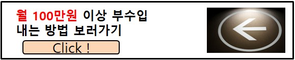 월 100 부수입