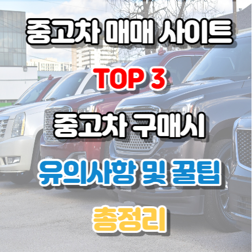 중고차 매매사이트 TOP3