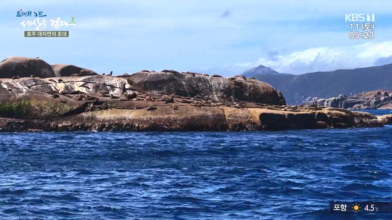 트레킹노트 세상을 걷다.E296.231112p-NEXT.mp4_20231111_182050.352.jpg