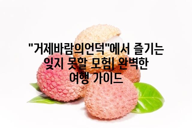 랜덤146