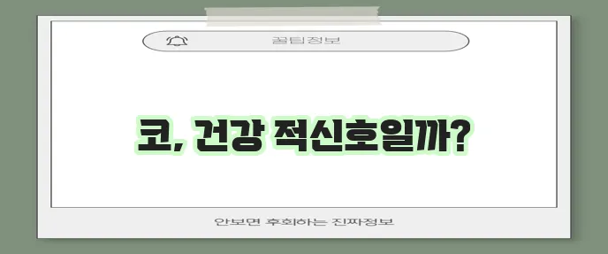 고양이 코 후각 코 색깔 코 건조 꼼꼼하게 알아봐야 합니다!