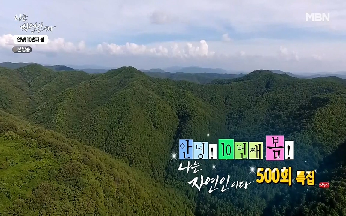 나는 자연인이다.E500.220505p-NEXT.mp4_20220505_173340.673.jpg