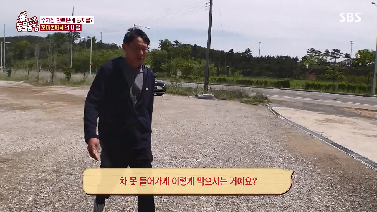 TV 동물농장.E1176.240617p-NEXT.mp4_20240616_171031.042.jpg