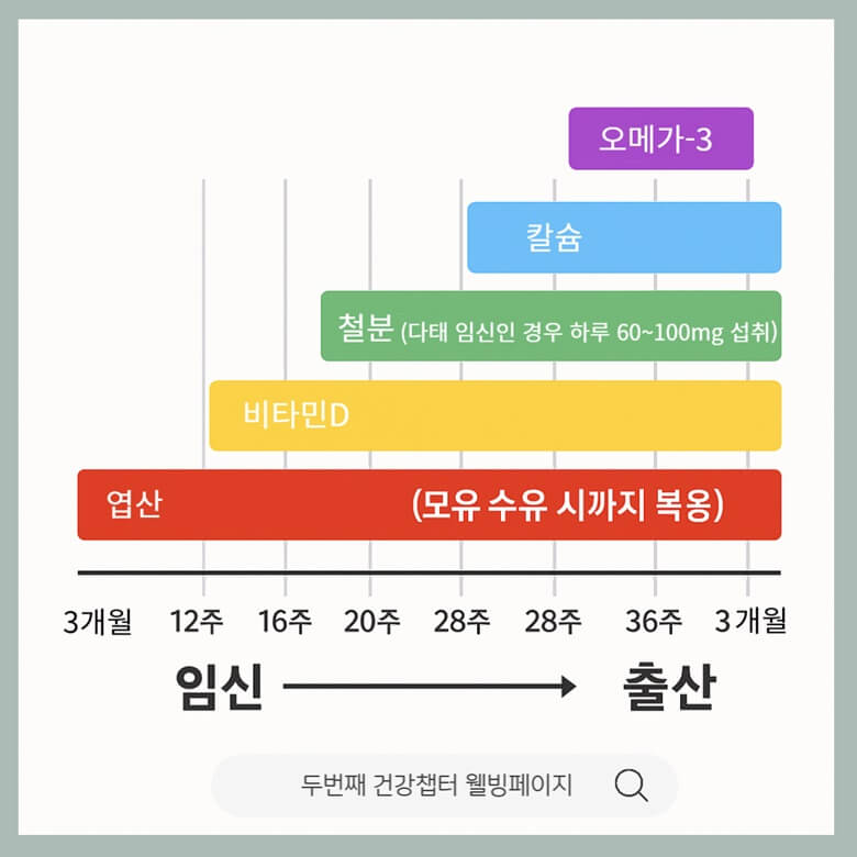 임신 주차별로 엽산, 비타민D, 철분제, 오메가3, 칼슘 등의 영양제 섭취 시기를 안내하는 임산부 영양제 그래프