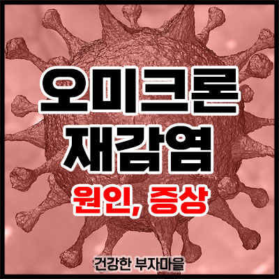 오미크론 재감염