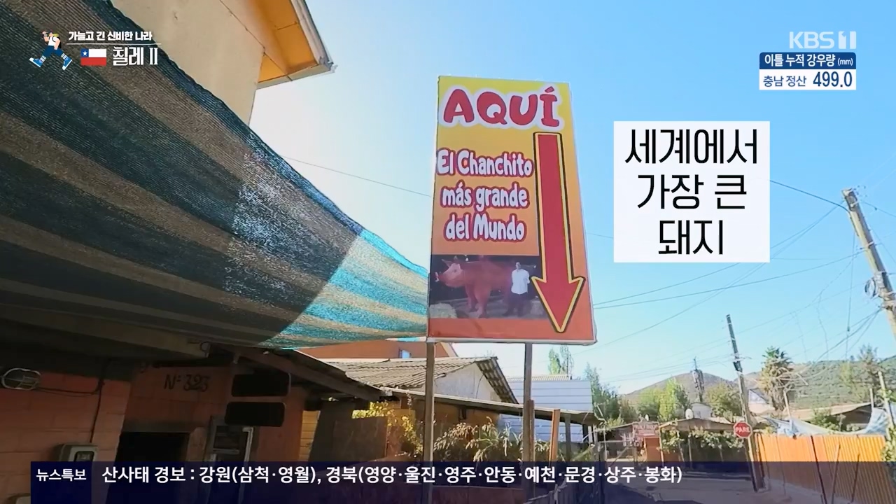 걸어서 세계속으로.E801.230716p-NEXT.mp4_20230724_211705.066.jpg