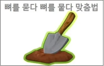 뼈를 묻다 뼈를 뭍다 맞춤법