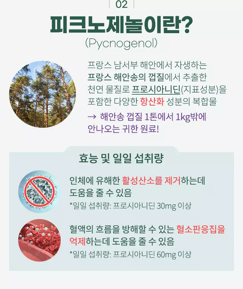 피크노제놀 (Pycnogenol)