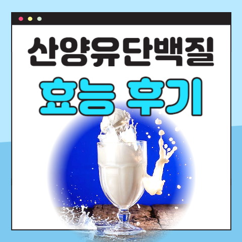 산양유단백질 효능