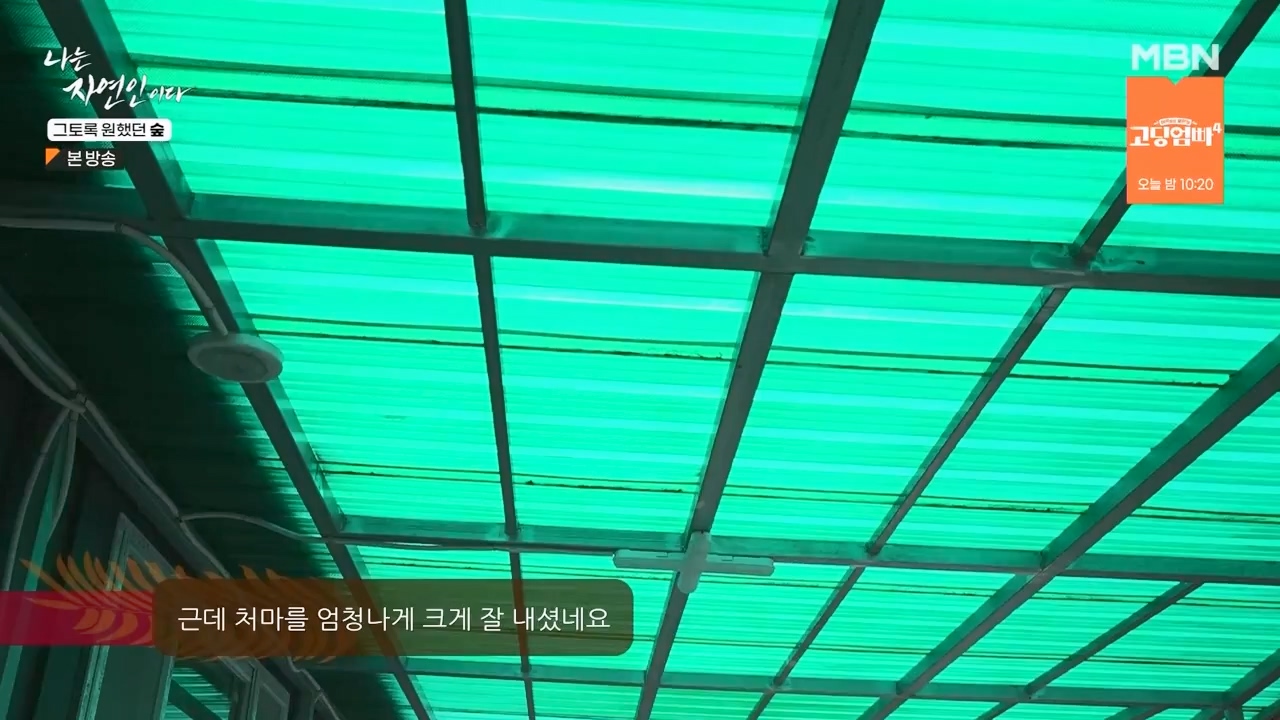 나는 자연인이다.E591.240132p-NEXT.mp4_20240201_195740.596.jpg