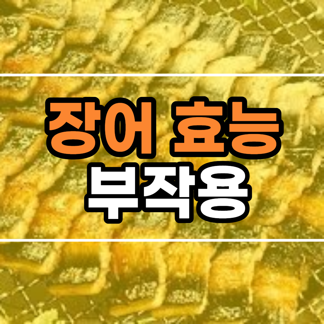  장어 효능 10가지 및 부작용 먹는 법
