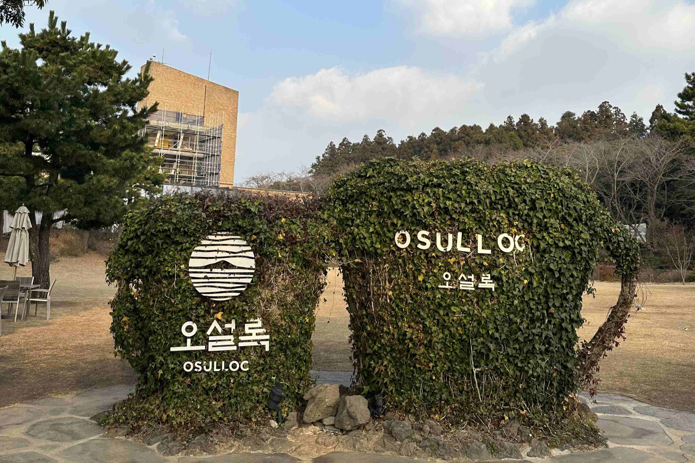 오설록티뮤지엄의-입구
