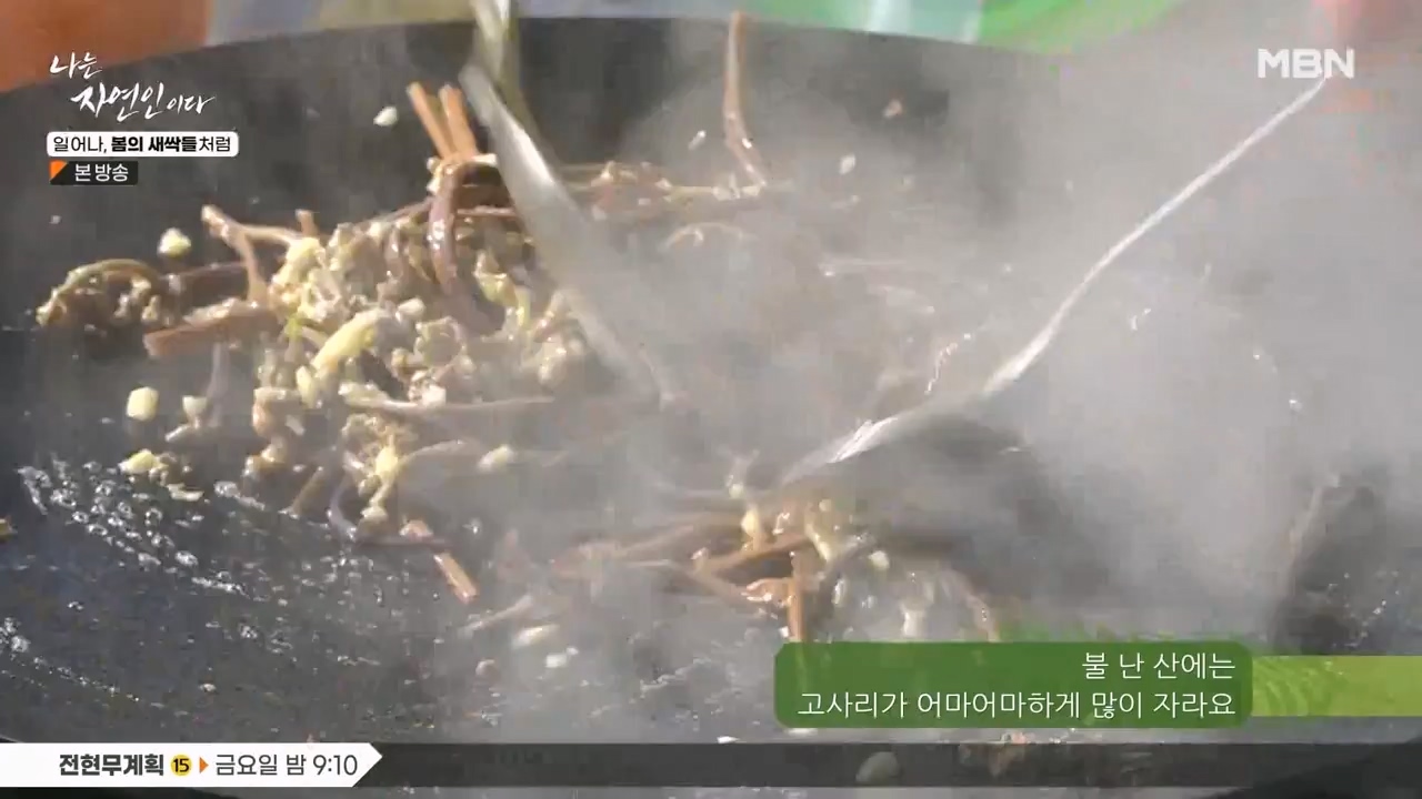 나는 자연인이다.E593.240215p-NEXT.mp4_20240215_200731.066.jpg