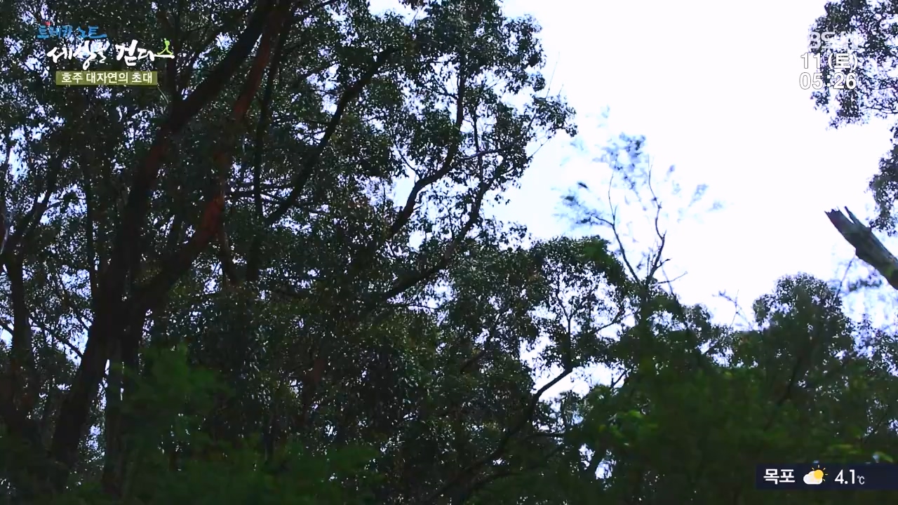 트레킹노트 세상을 걷다.E296.231112p-NEXT.mp4_20231111_182051.198.jpg